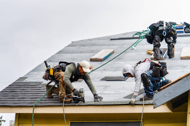 Professional Gutter Installation technician working in Warm Springs, GA